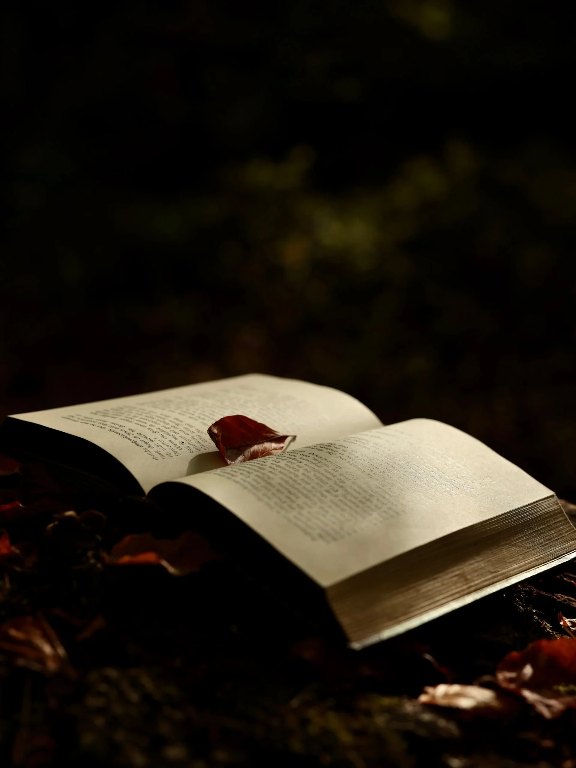 Les différentes variantes du trope Fated Mates dans la fantasy et la romantasy