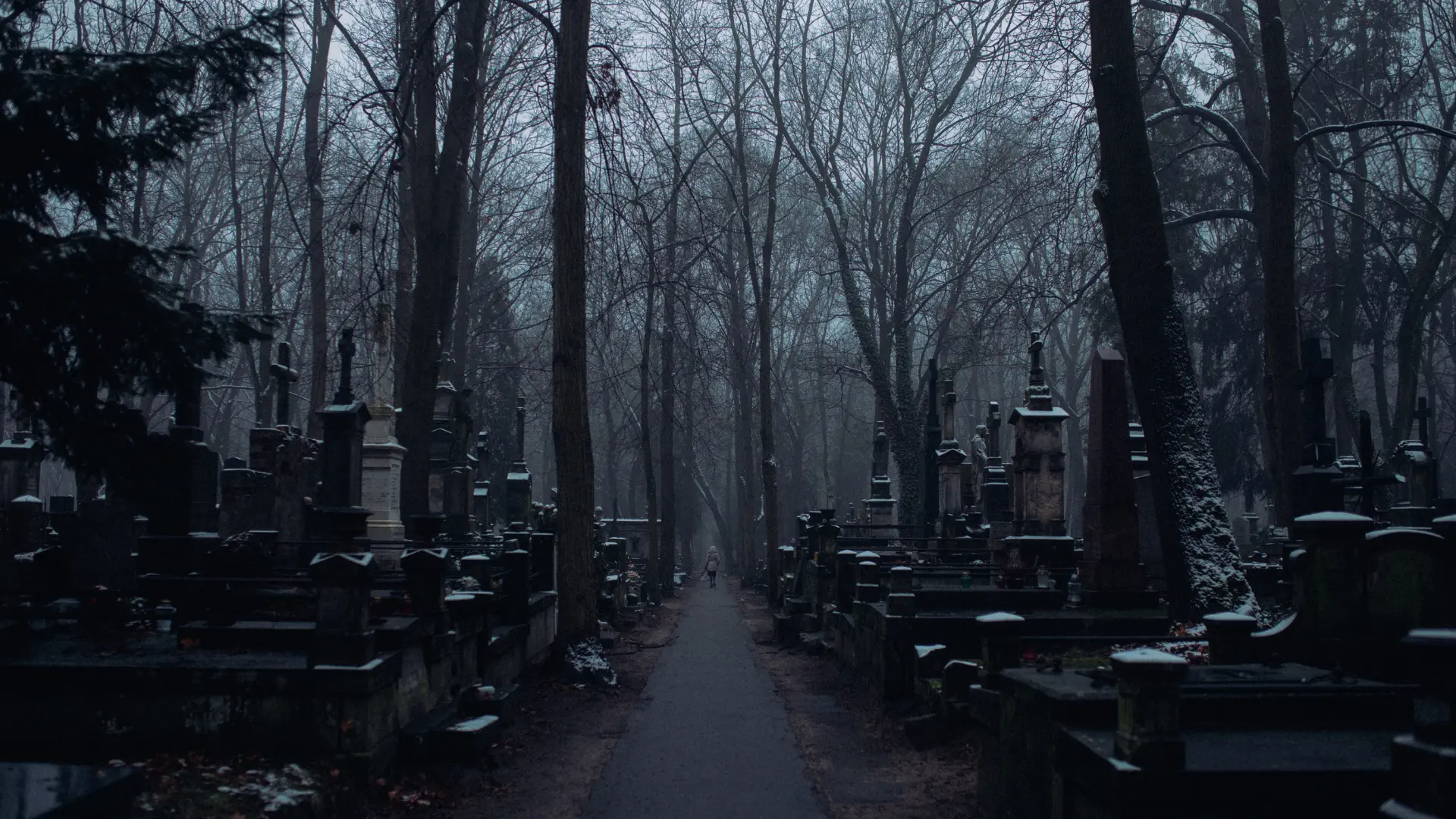 Livre Thriller - Cimetière