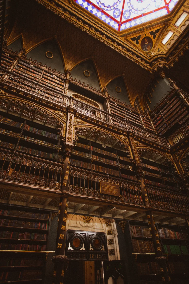 Fantasy française - Salle de bibliothèque gothique ancienne